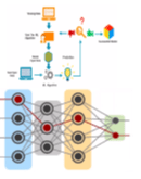 neural nets